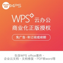 金山WPS+ 商业版 Office办公软件 WPS+商业版 一年使用权