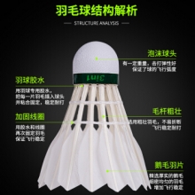 安格耐特 F2209 羽毛球(白色) (12只/筒)