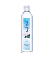 世外桃源 瓶装水 500ML/瓶 12瓶/箱