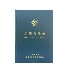 成文厚 101-93 记账本明细分类账 大本明细分类账16开（100页）