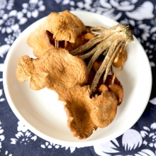 【四川】【绵阳市】【平武县】 羌家 野生青杠菌（熊猫袋）100g
