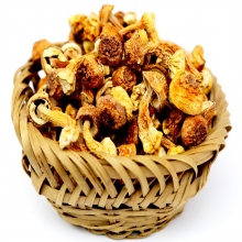 【四川】【绵阳市】【平武县】 羌家 姬松茸（熊猫袋）150g