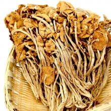【四川】【绵阳市】【平武县】 羌家 茶树菇（熊猫袋）150g
