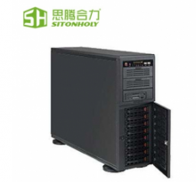 思腾合力 IWT210-2G 塔式服务器