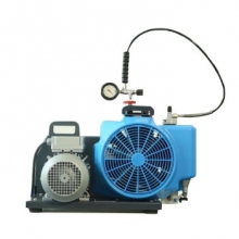 梅思安 10181242 100TW高压呼吸空气压缩机单相电机（代替9960028）1台（7-90天货期）