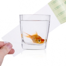 得力 deli 普透封箱胶带 30332 60mm*60Y  6卷/筒
