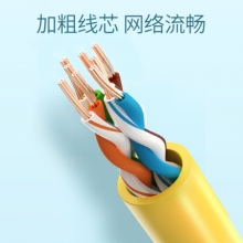 绿联（UGREEN）超五类网线 Cat5e超5类成品网线 非屏蔽八芯8芯双绞跳线5米 11233