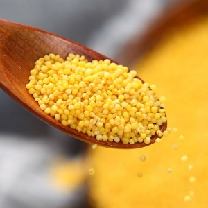 河北张家口沽源县扶贫产品坝莜域黄小米500g真空包装